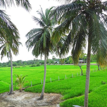 Green Sapphire Holiday Resort Wilpaththu ويلباتو المظهر الخارجي الصورة