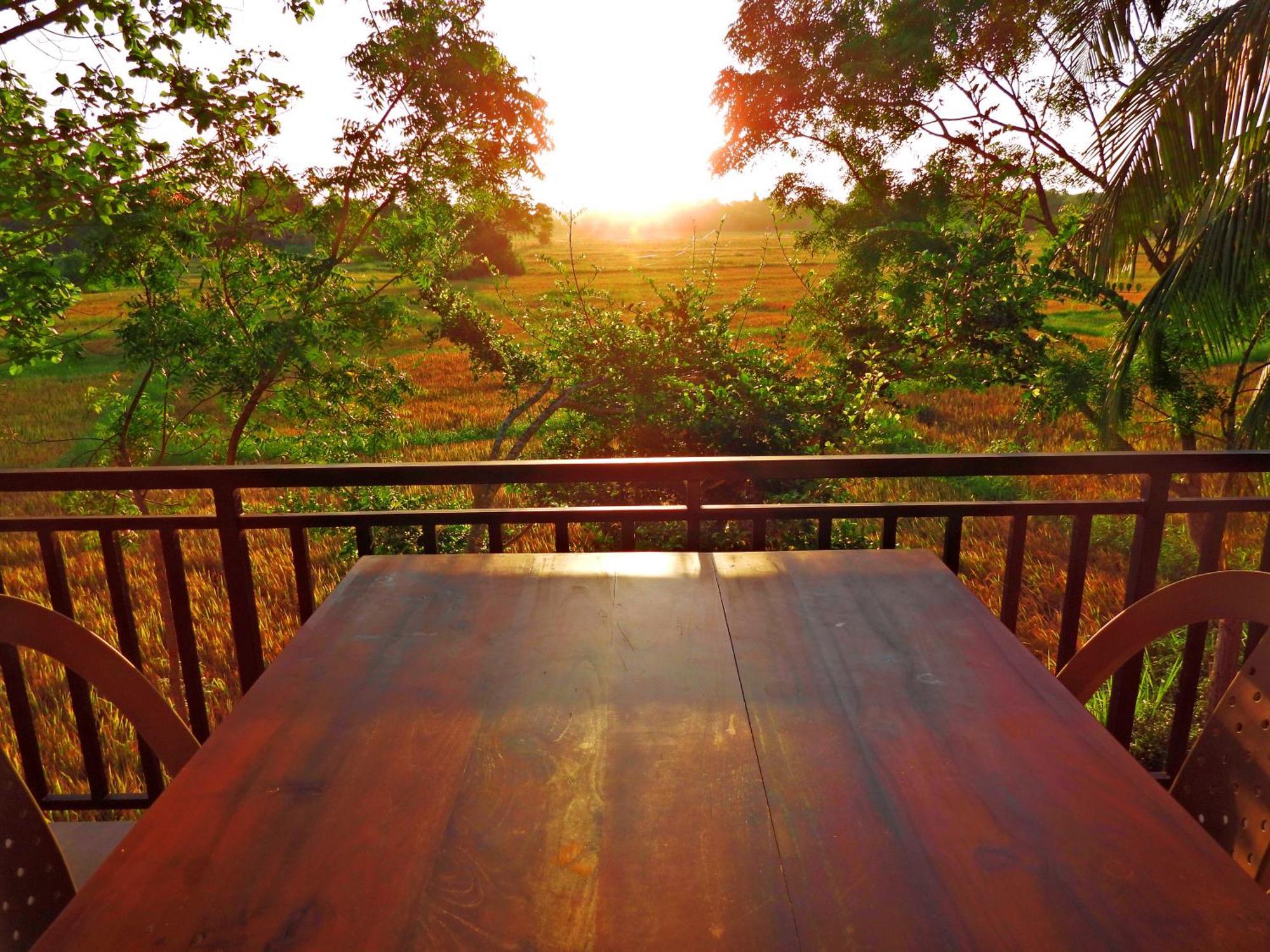 Green Sapphire Holiday Resort Wilpaththu ويلباتو المظهر الخارجي الصورة